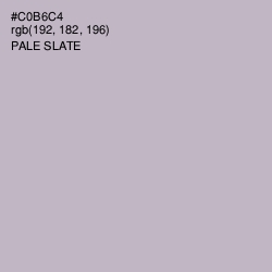 #C0B6C4 - Pale Slate Color Image